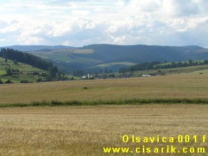 go to the village page